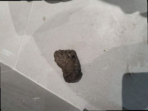 종로구 하수구막힘 배수 흐름을 확인한 뒤 주변을 정리한 욕실 모습